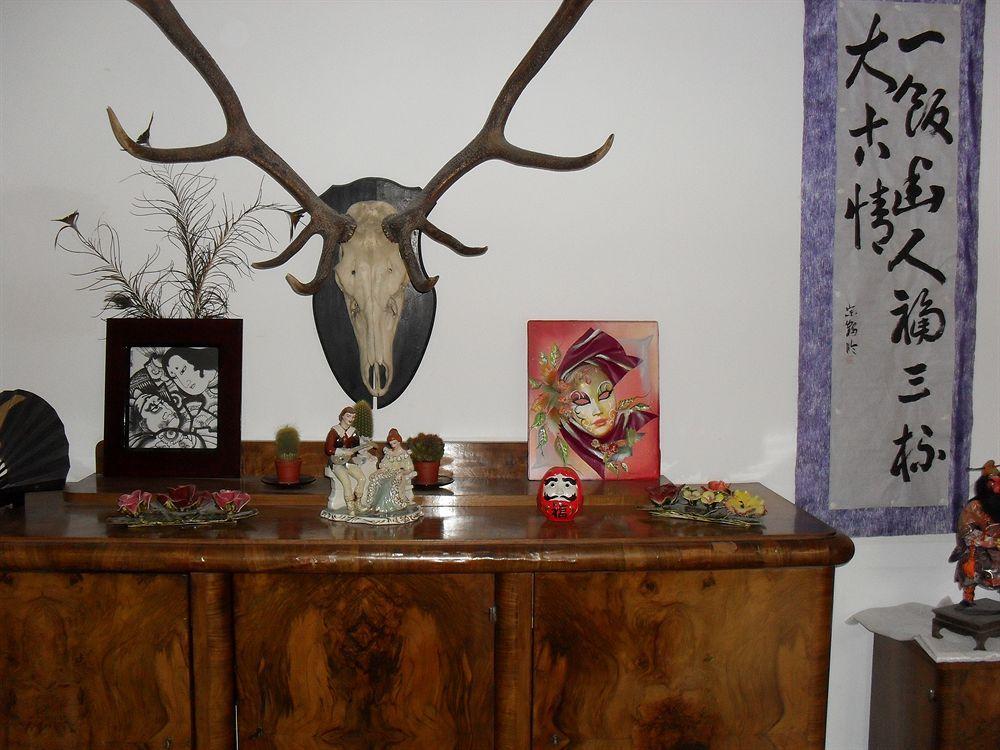 Pension Casa Samurai Brasov Luaran gambar