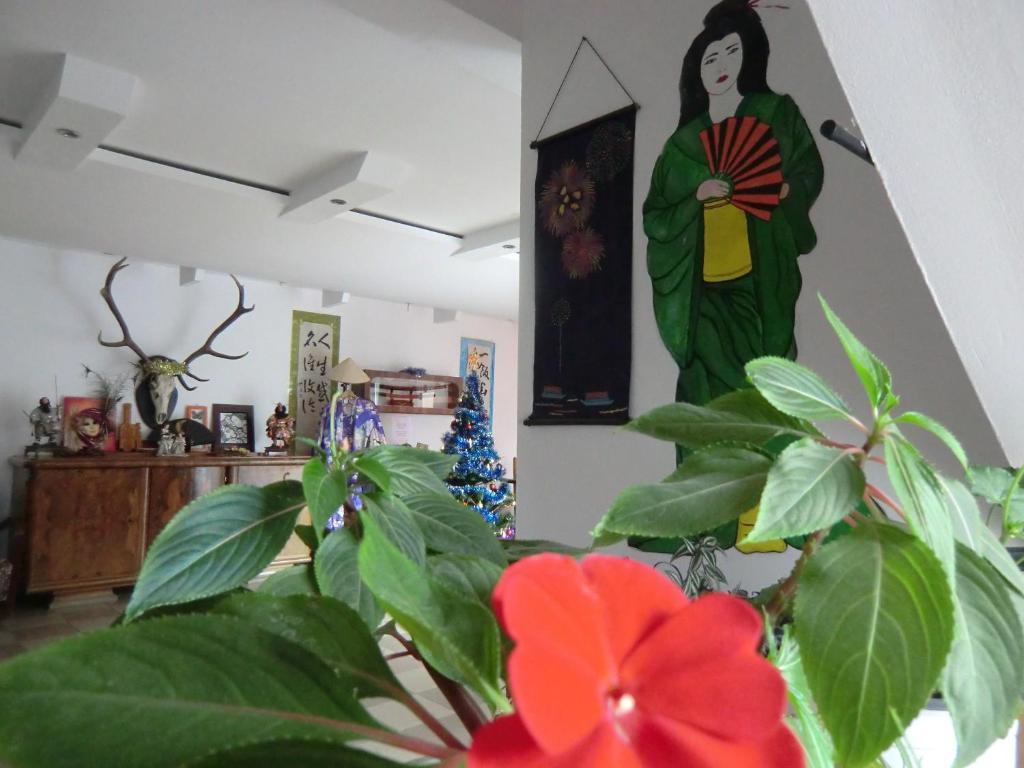 Pension Casa Samurai Brasov Luaran gambar